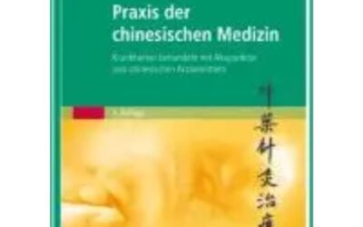 Praxis der chinesischen Medizin