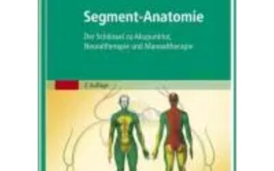 Segment-Anatomie