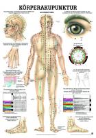 Körper-Akupunkturposter DIN A4 -Laminiert-