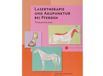 Lasertherapie und Laserakupunktur beim Pferd